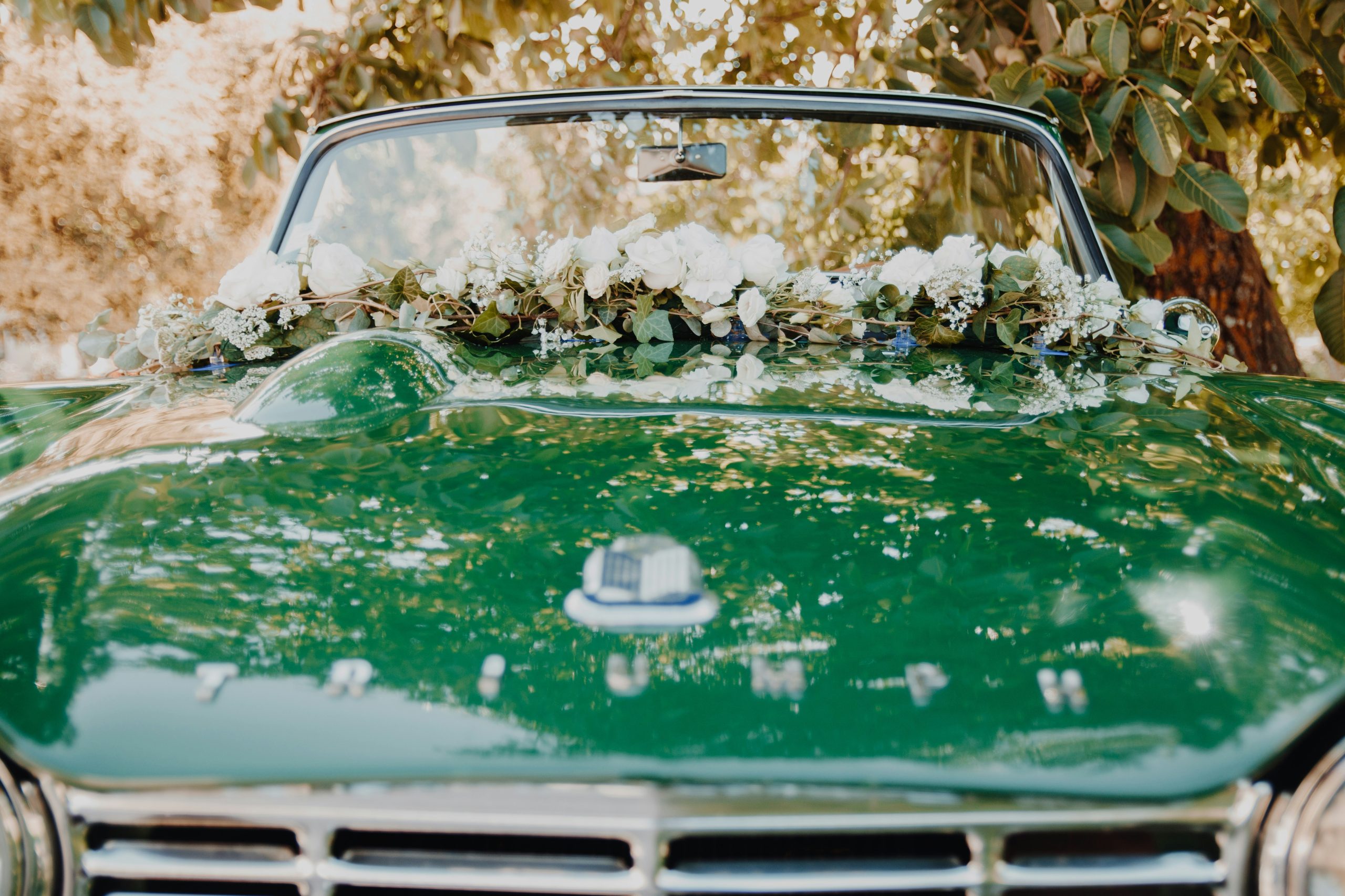 Celine druguet kUQUV UY78o unsplash